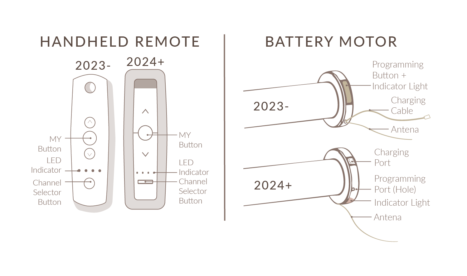 Motor and Remotes